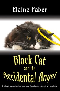 Black Cat and the Accidental Angel